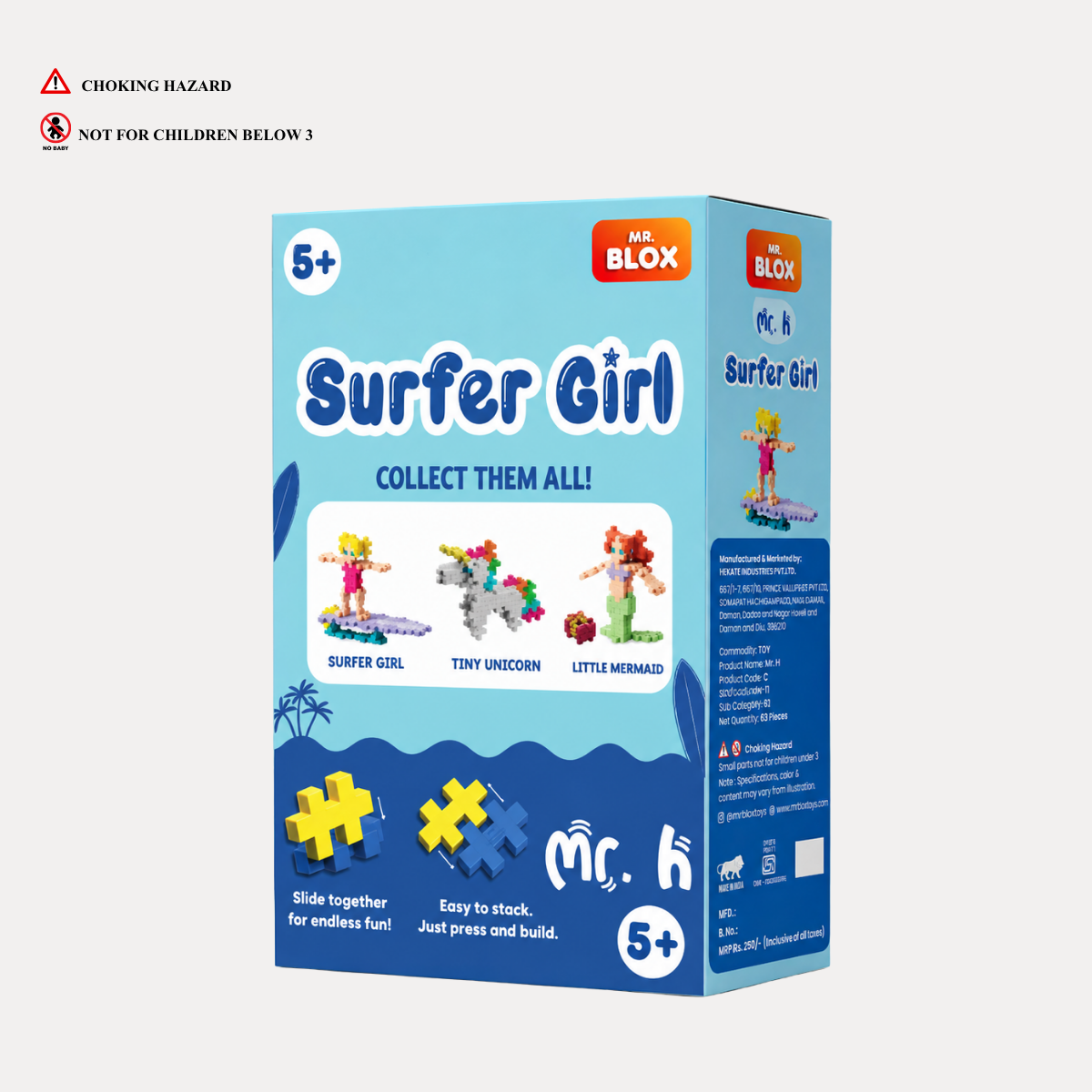 Mr. H: Mr. Blox Surfergirl